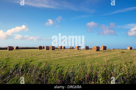 Schottland, Argyll & Bute, Inneren Hebriden, Tiree, Heuballen ab august Ernte Stockfoto