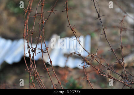 Charlwood, Surrey, UK. 25. Januar 2014. Sehr real und rostiger Stacheldraht an den Graben. Bildnachweis: Matthew Chattle/Alamy Live-Nachrichten Stockfoto