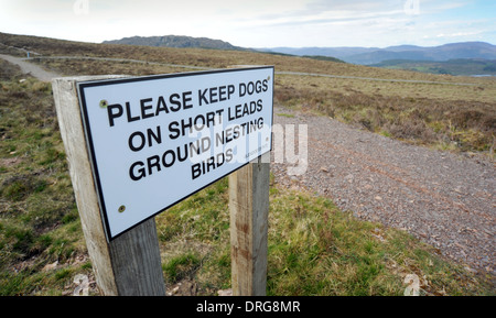 BITTE HALTEN SIE HUNDE AN KURZEN FÜHRT BODEN VERSCHACHTELUNG VÖGEL WARNZEICHEN IN DEN SCHOTTISCHEN HIGHLANDS SCHOTTLAND RE WILDLIFE CONSERVATION UK Stockfoto