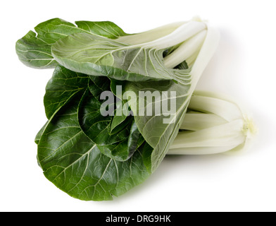 Zwei Köpfe des frischen Bok Choi asiatischen Kohl auf einem weißen Hintergrund. Stockfoto