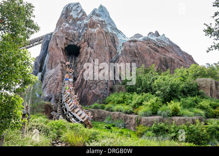 Besucher, Familien, Kinder, Menschen, die Spaß auf einer Achterbahn im Tierreich in Walt Disney World in Florida. Stockfoto