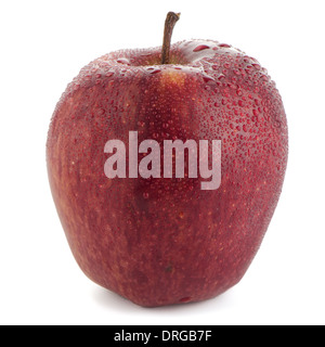 Roter Apfel isoliert auf weißem Hintergrund. Stockfoto