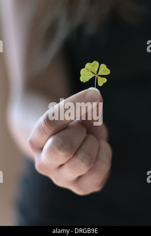 Weibchen mit einem einzigen grünen Kleeblatt / Kleeblatt wünschen Glück am St. Patricks Day in Irland. Stockfoto