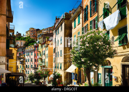 Bunte Straße von Riomaggiore Cinque Terre, Ligurien, Italien Stockfoto