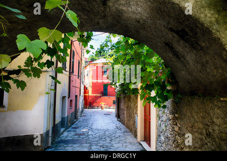 Blick auf die Straße unter einem Bogen, Monterosso Al Mare, Cinque Terre, Ligurien, Italien Stockfoto