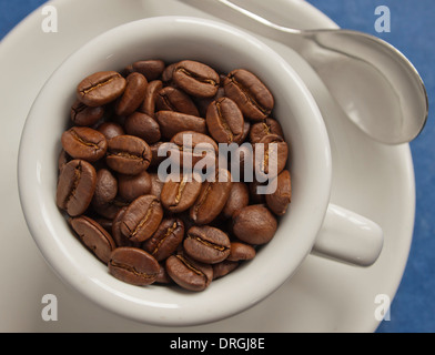 frische Arabica-Kaffeebohnen in Espressotasse / close-up Stockfoto