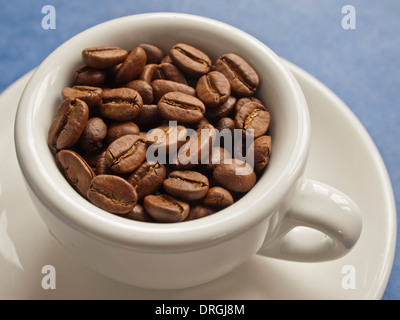 frische Arabica-Kaffeebohnen in Espressotasse / close-up Stockfoto