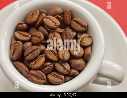 frische Arabica-Kaffeebohnen in Espressotasse / close-up Stockfoto