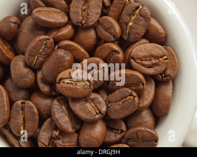 frische Arabica-Kaffeebohnen in Espressotasse / close-up Stockfoto