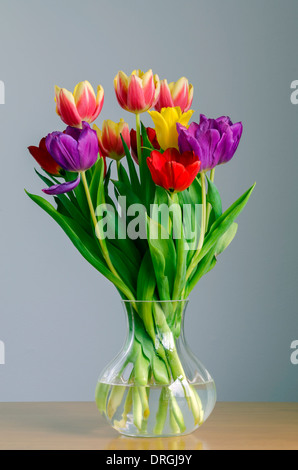 Stillleben-Darstellung der bunten Tulpen in einer Glasvase Stockfoto