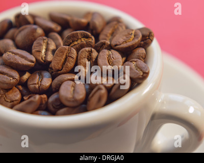 frische Arabica-Kaffeebohnen in Espressotasse / close-up Stockfoto