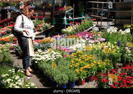 Markt am Isestrasse, Hamburg, Deutschland, Europa Stockfoto