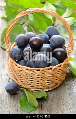 Pflaumen im Korb auf dem Holztisch Stockfoto