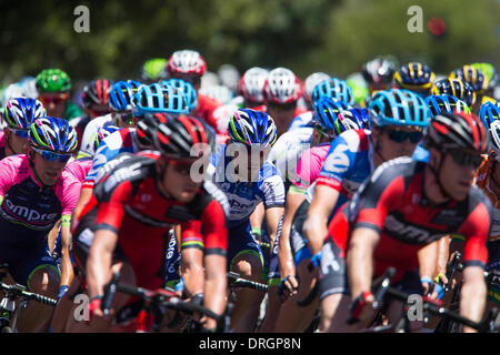 Adelaide, South Australia, Australien. 26. Januar 2014. Das Peloton Stage 6, Adelaide Street Circuit 85km von der UCI Tour Down Under, Australien. Bildnachweis: Gary Francis/ZUMAPRESS.com/Alamy Live-Nachrichten Stockfoto