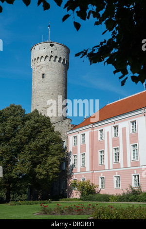 Tall Hermann Turm, Parlamentsgebäude in Burg auf dem Domberg, Talinn Stockfoto