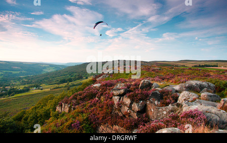 Gleitschirm über ein Heidekraut bewachsenen Curbar Kante, in die Dunkelheit Peakfläche der Peak District National Park, Derbyshire, UK Stockfoto