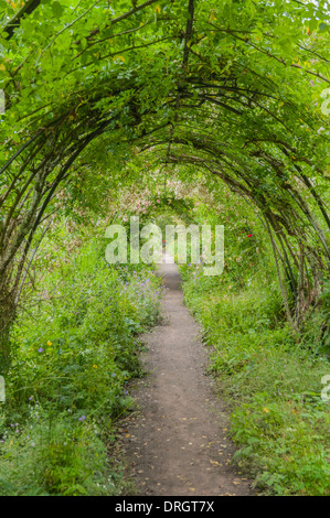 Überdachten Gehweg Gärten Cawdor Castle Highland-Schottland Stockfoto