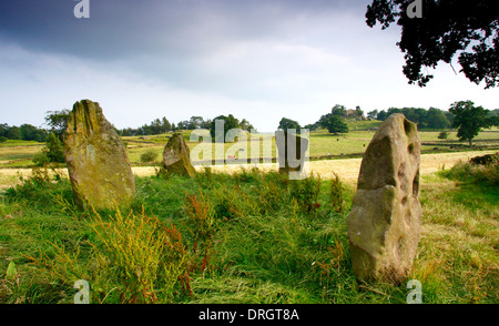 Die vier verbliebenen Steinen von neun Steinen engen Steinkreis in einem Feld auf Harthill Moor, Peak District, Derbyshire, England, UK. Stockfoto