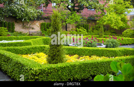 Gepflegten Hecken und Bäume in einem Wohn Garten. Stockfoto