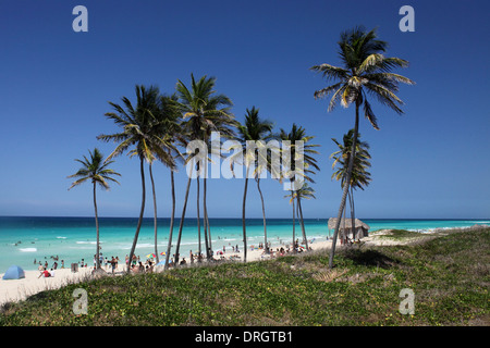 Palmen und Touristen auf der Playa del Este beach Havanna Kuba Foto: Pixstory / Alamy Stockfoto