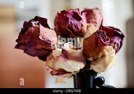 Bouquet von getrockneten Rosen in Keramikvase Stockfoto