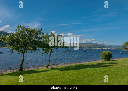 Yachten auf Loch Linnhe Fort William Highland Schottland neben Gärten. Stockfoto