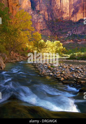 Blick entlang des Virgin River in den Zion National Park, USA Stockfoto