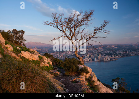 Küste von mediterranen Dorf von Calpe von Ifach-rock Stockfoto