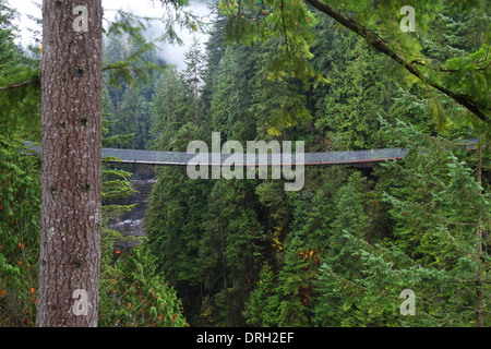 Capilano Suspension Bridge in der Nähe von Vancouver in Kanada Stockfoto