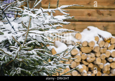 Birke Brennholz an einer Wand des Hauses im winter Stockfoto