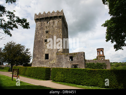 Blarney Castle im County Cork, Irland Stockfoto