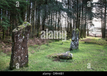 Kilmore Standing Stones auf Dervaig auf der Isle of Mull. Stockfoto