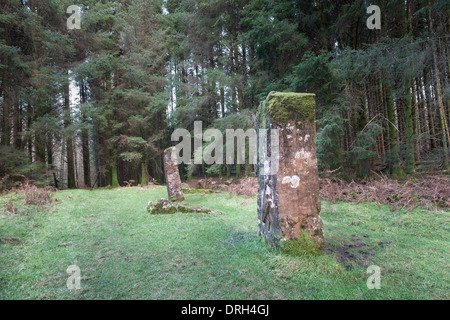 Kilmore Standing Stones auf Dervaig auf der Isle of Mull. Stockfoto