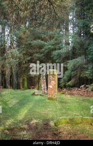 Kilmore Standing Stones auf Dervaig auf der Isle of Mull in Schottland. Stockfoto