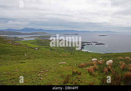 Ring of Kerry in County Kerry, Irland Stockfoto