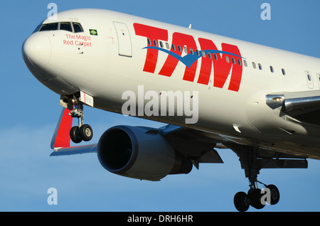 TAM Airlines ist die brasilianische Marke von latam Airlines Group. 767 PT-MSS hier dargestellt ist die Landung in London Heathrow. Die Magie roten Teppich Stockfoto