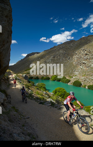 Mountainbiker und Lake Roxburgh auf Roxburgh Schlucht Rad- und Wanderweg, Central Otago, Südinsel, Neuseeland Stockfoto