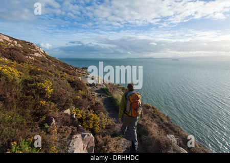 Walker auf dem Moor Frösche Loop in der Nähe von Red Rock, auf Howth Küstenpfad, County Dublin, Irland. Stockfoto