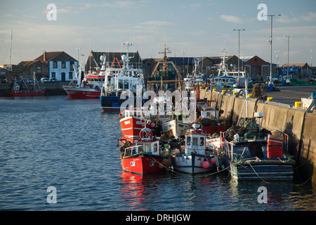 Fischtrawler Hafen in Howth, County Dublin, Irland. Stockfoto