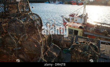 Angelboote/Fischerboote und Hummer Töpfe im Hafen von Howth, County Dublin, Irland. Stockfoto