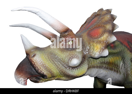 Triceratops Kopf Modell Seitenansicht Stockfoto