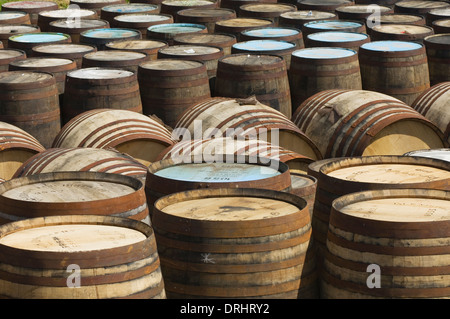 Whisky-Fässer in der Glendronach Destillerie, in der Nähe von Huntly, Aberdeenshire, Schottland. Stockfoto