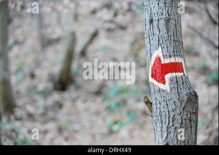 Roter Pfeil Schild an einem Baum markieren einen Wanderweg Touristenroute Stockfoto