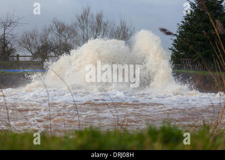 Burrowbridge, UK. 27. Januar 2014. Umweltagentur Pumpen Flut Wasserstände auf der Somerset Ebene reduzieren. Am Freitag Somerset County Council erklärt Überschwemmungen in Somerset eine "größere Zwischenfälle. Bildnachweis: Andrew Johns/Alamy Live-Nachrichten Stockfoto