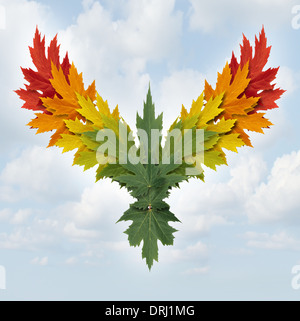 Flügel des Natur-Symbols als Baum mit verschiedenen Farben geformt wie ein fliegender majestätische Vogel als Metapher für Erfolg Wachstum und Freiheit in der Wirtschaft und Umwelt Umweltschutzfragen geht. Stockfoto