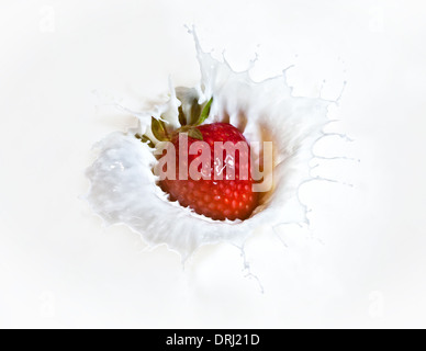 rote Erdbeere Spritzer Milch Hintergrund Stockfoto