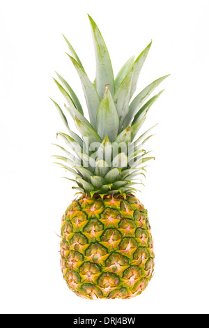 Eine ganze reife Ananas - Studio gedreht, isoliert auf weißem Hintergrund Stockfoto