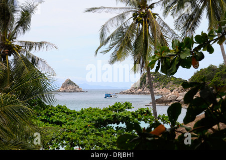 Blick durch Vegetatio auf Shark Island auf der Insel Koh Tao, Thailand Stockfoto