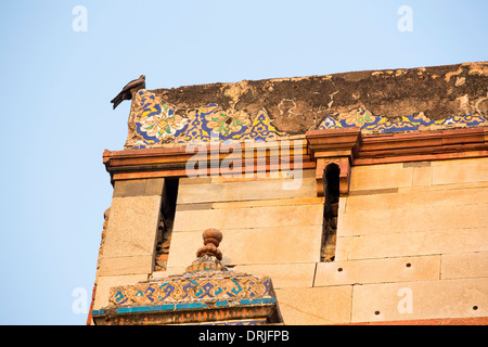 Eine schwarze Drachen auf dem Purana Qila Fort in Delhi; Indien. Stockfoto