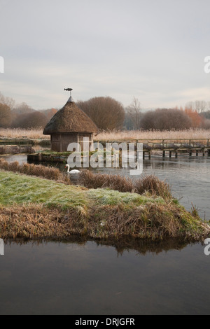 Frost auf dem Fluss Test und strohgedeckten Fischerhütte, Longstock, Hampshire, England Stockfoto